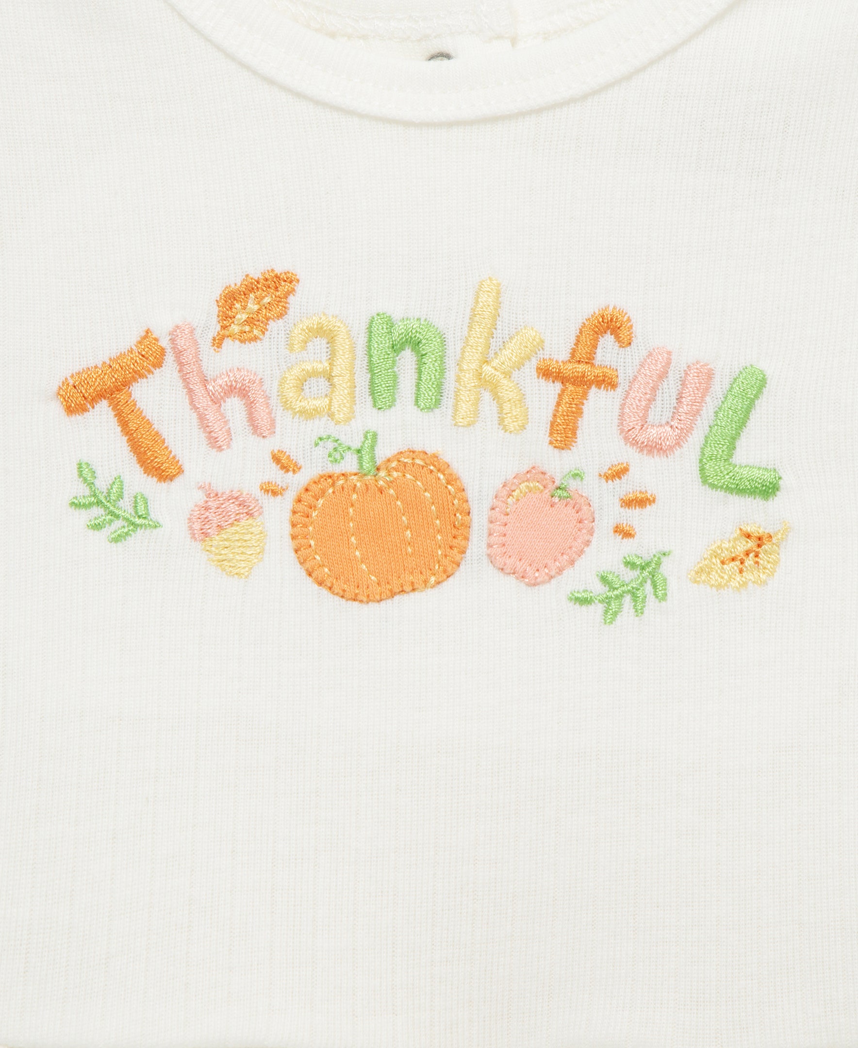 Thankful Bodysuit & Pant Set (3M-12M)