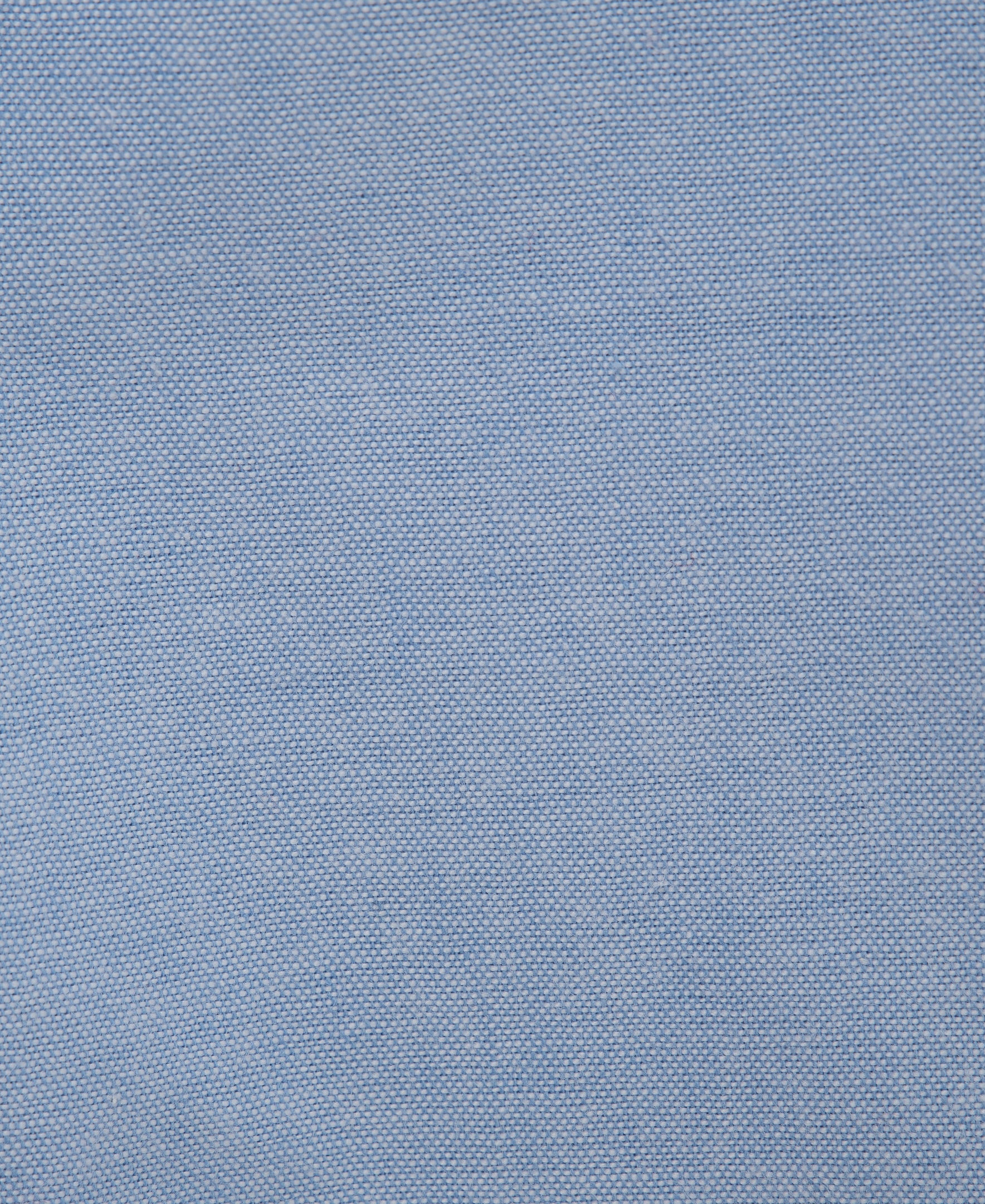 Whale Polo & Pant Set - Little Me