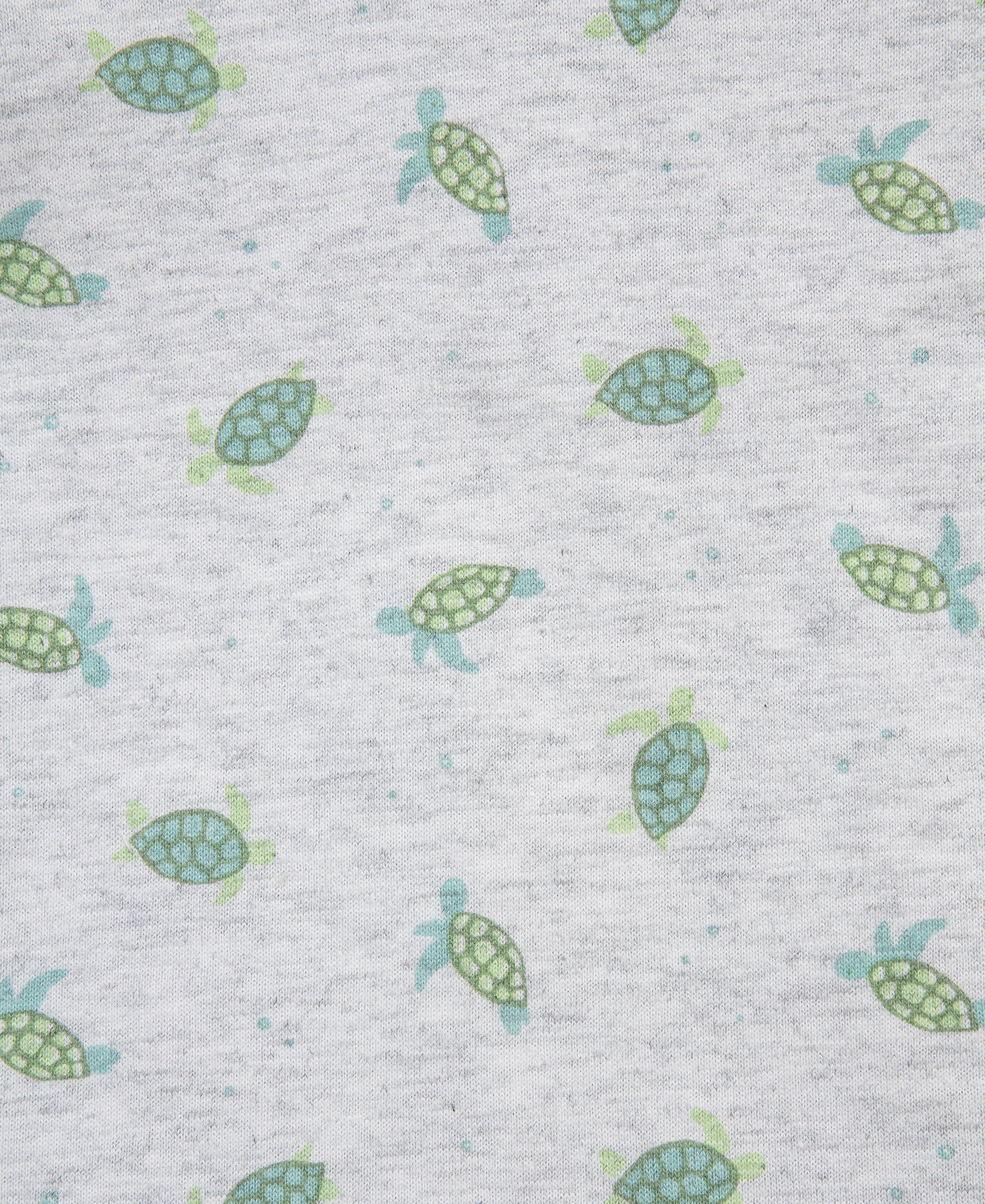 Turtle Shortall Set (3M-12M)