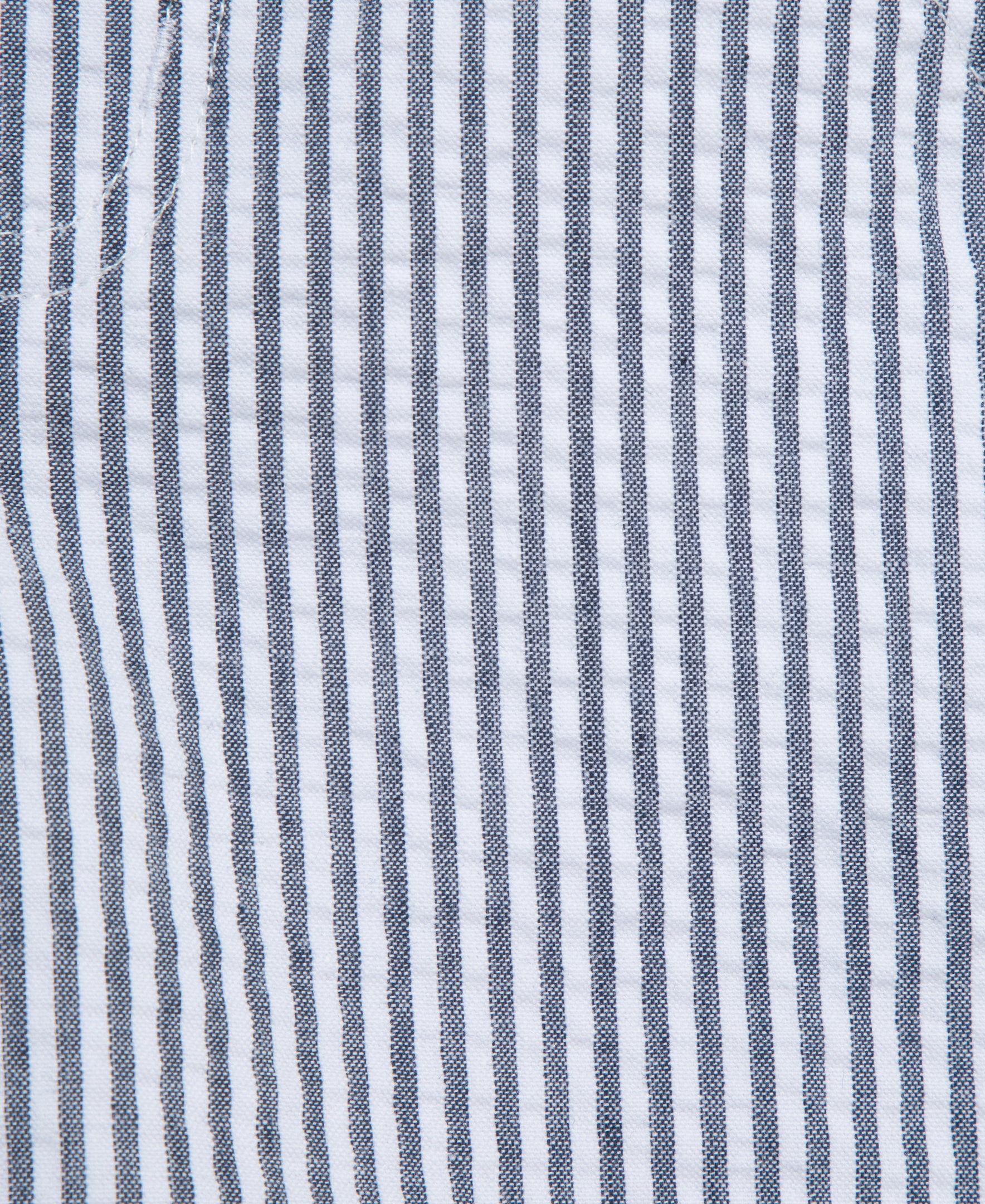 Whale Polo Short Set (12M-24M) - Little Me