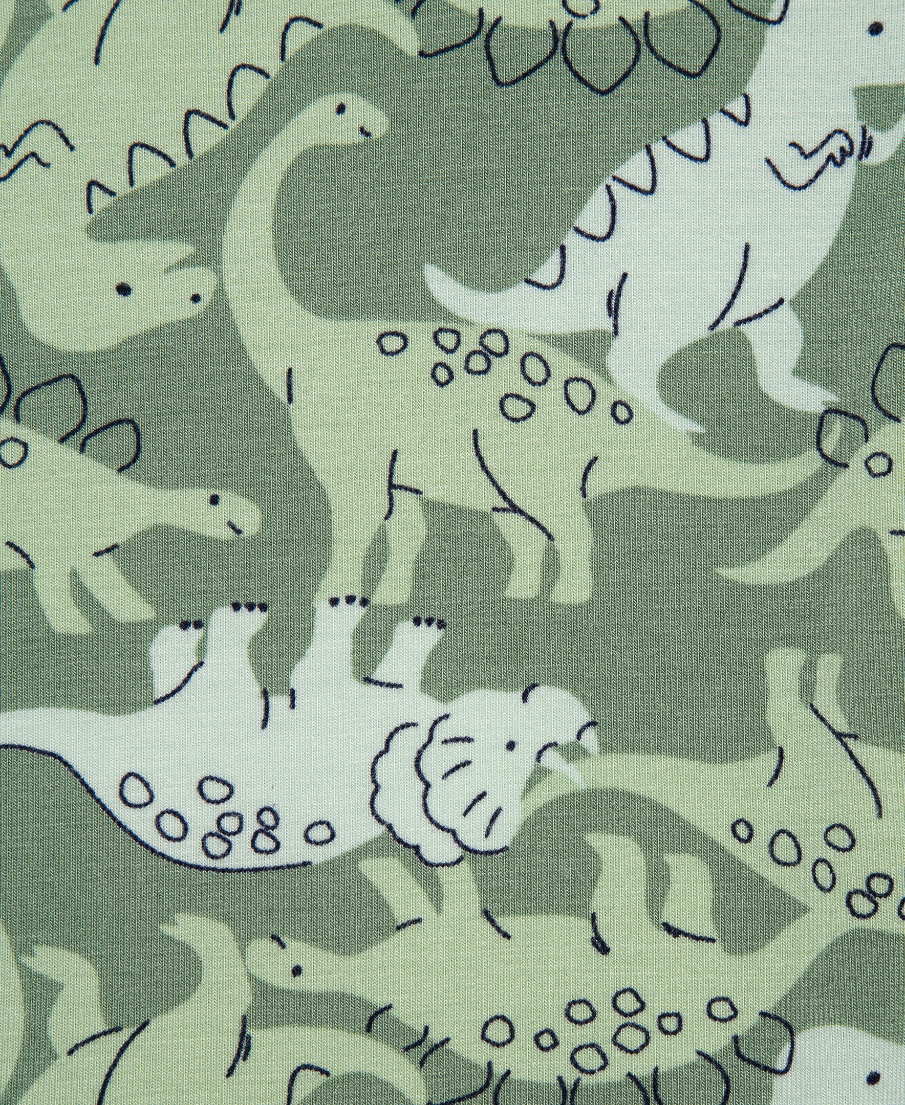 Dino 4-Piece Pajama Set (12M-24M)