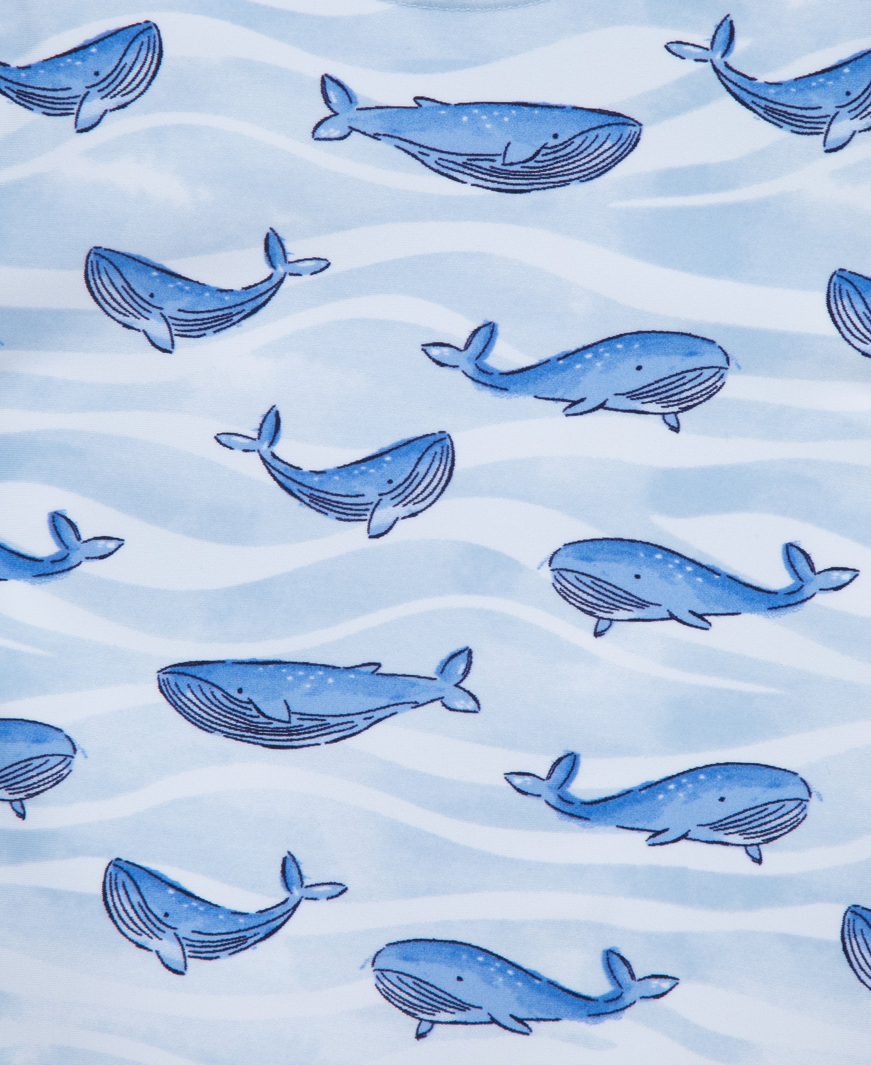 Whale Rashguard Set (6M-24M) - Little Me