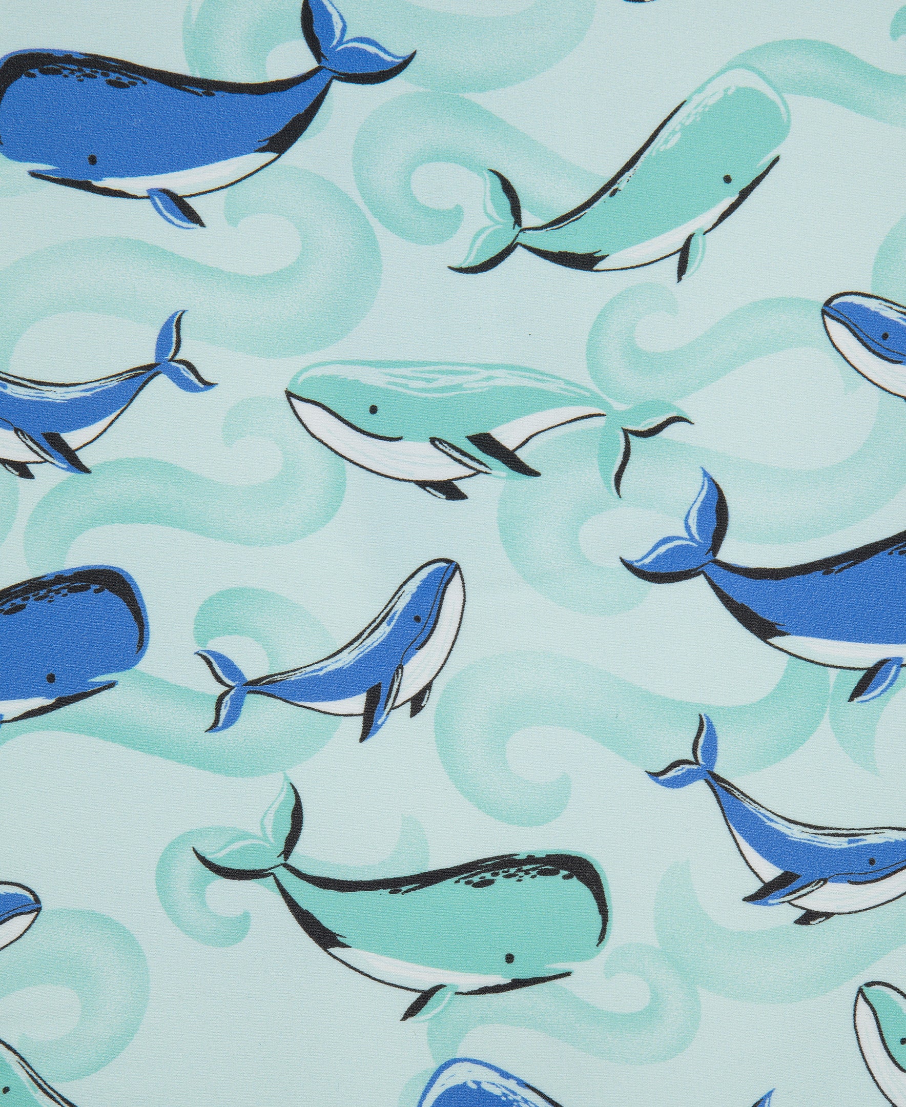 Whale Long Sleeve Rashguard Suit - Little Me