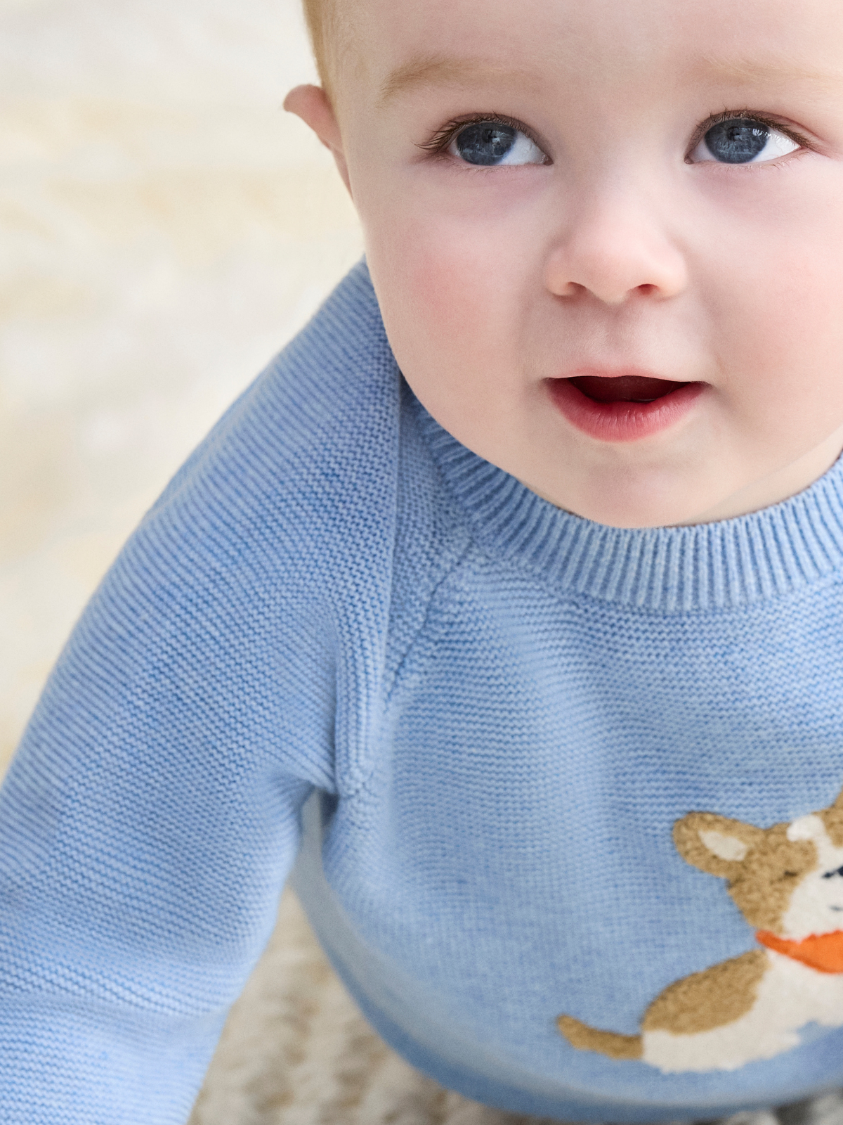 Puppy Sweater Set (3M-9M)