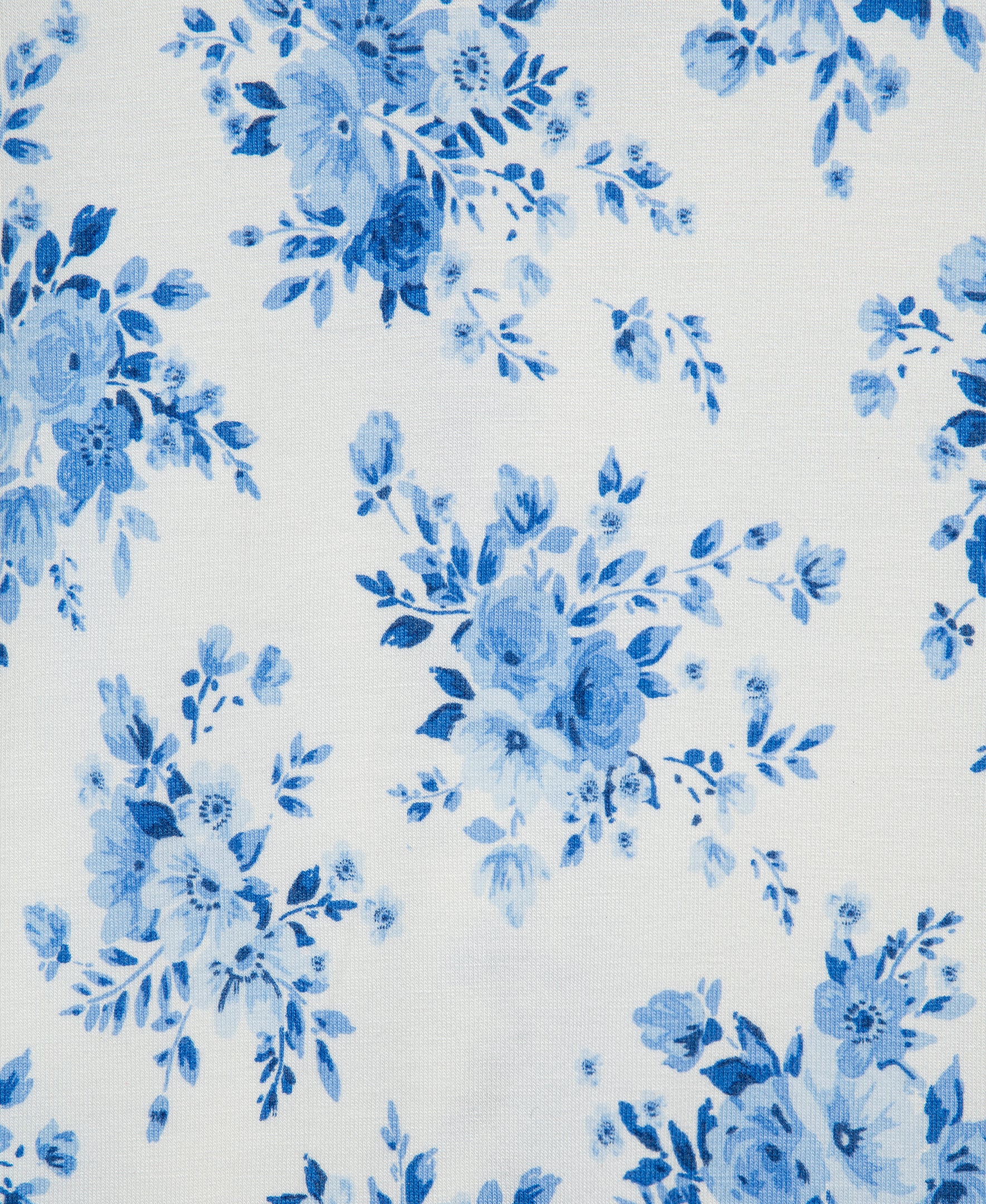 Blue Garden Zip Front One-Piece